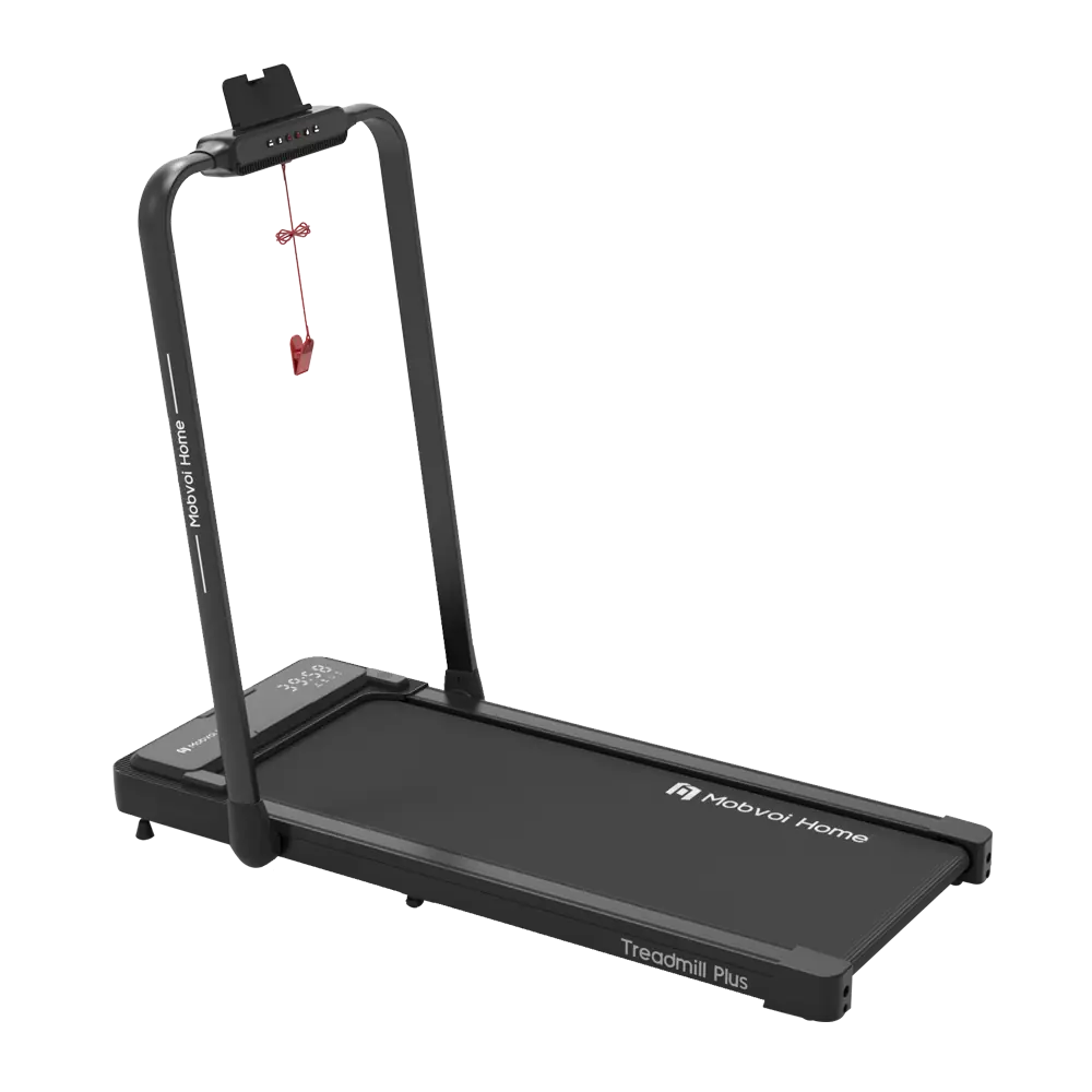 threadmill, image of the product